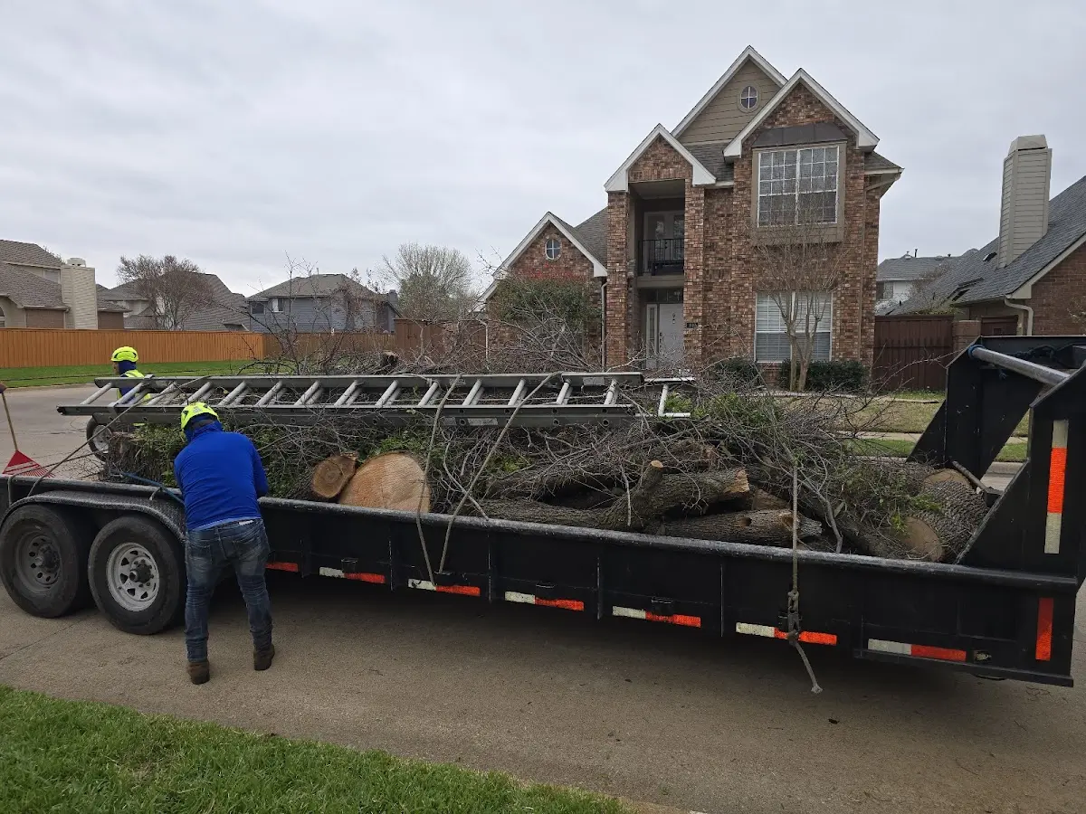 Expert Tree Pest Control with proper safety equipment in Eleanor